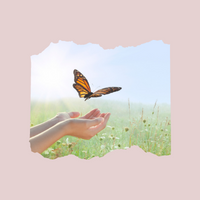 Soin libérateur personnalisé en guidance (constellation familiale + soin énergétique) : 90 euros